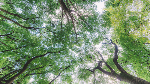 兩部委公布儲能相關意見、2024年3月全國代理購電價格公布、人民法院案例庫今起對社會開放、本周提醒信息