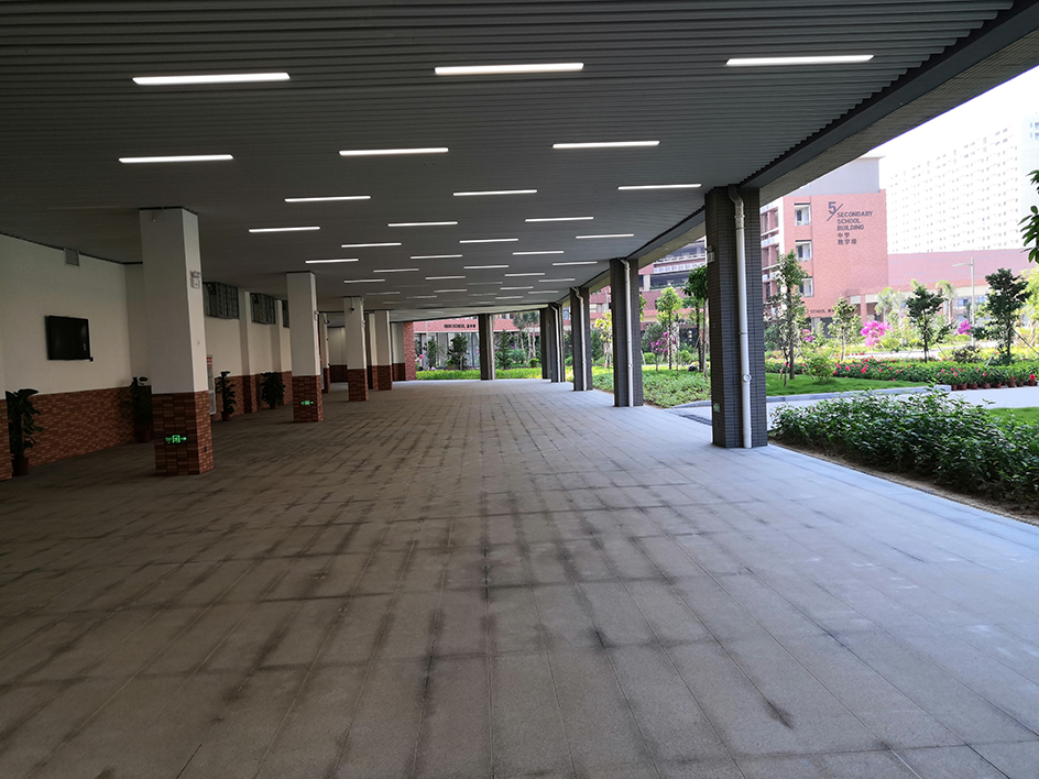 東莞東華文澤學校