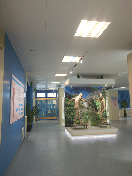 山東第一醫科大學