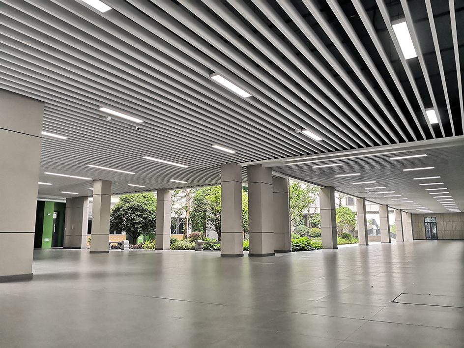 揚(yáng)州中學(xué)教育集團(tuán)樹人學(xué)校