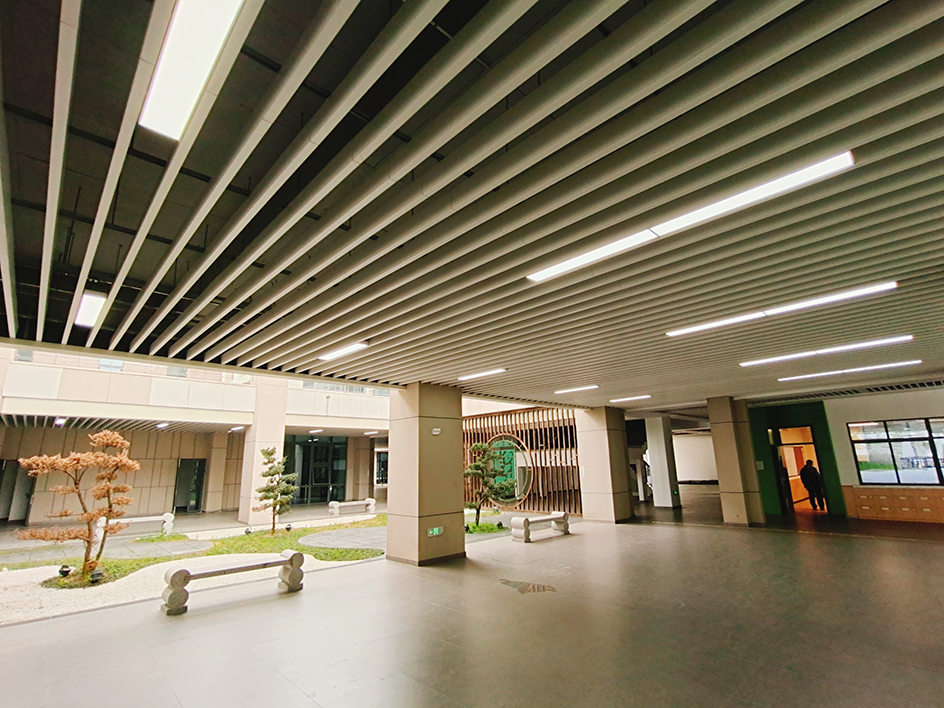 揚(yáng)州中學(xué)教育集團(tuán)樹人學(xué)校