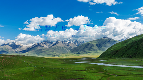 2025年中央一號文件發(fā)布、國家能源局發(fā)布數(shù)據(jù)、工信部開展算力強基揭榜行動、內(nèi)蒙古下放新能源管理權(quán)限……