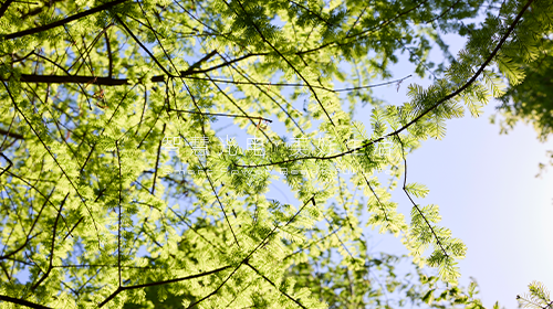 最新修訂《承裝（修、試）電力設施許可證管理辦法》、深圳試行分布式光伏發電系統碳普惠方法學……
