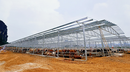 綠色能源新篇章：廣西扶綏珈偉智慧牧光互補50MW分布式光伏項目開工儀式 —— 凝心聚力，共筑輝煌!