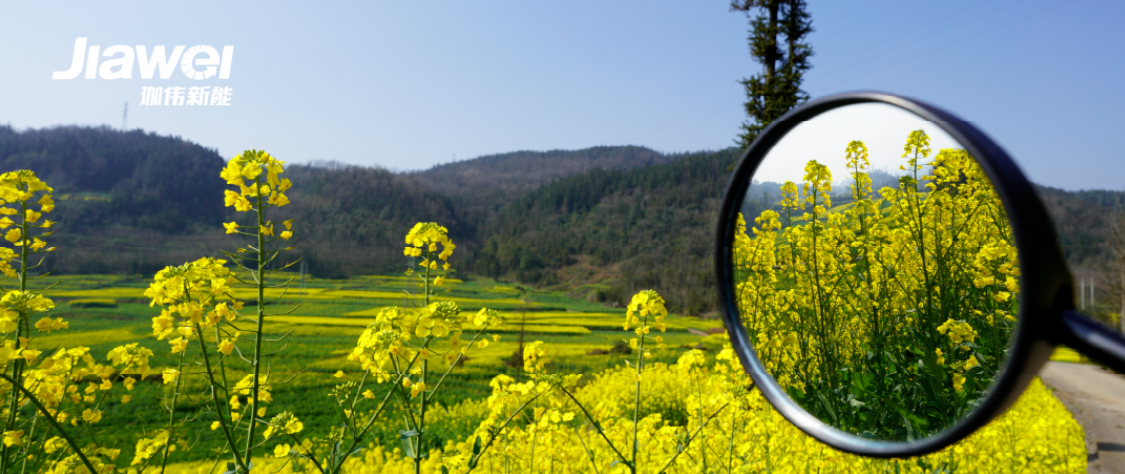 “十五五”新能源發展目標敲定、‘“三北”風電光伏基地加緊規劃……