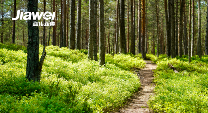 電力中長期市場新規、四川獨立儲能/虛擬電廠報價不進行分檔……