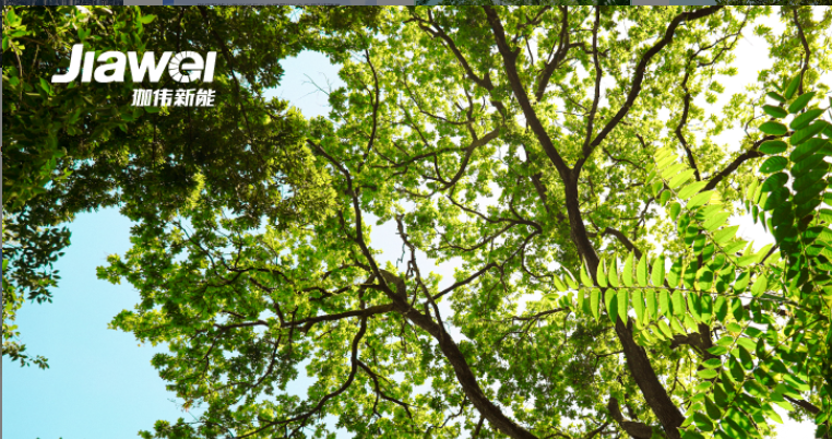 央行每年8000億拓展碳減排支持工具、財政部公路綠色低碳發展試點……